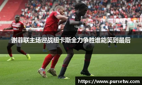 谢菲联主场迎战纽卡斯全力争胜谁能笑到最后